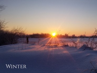 Winter